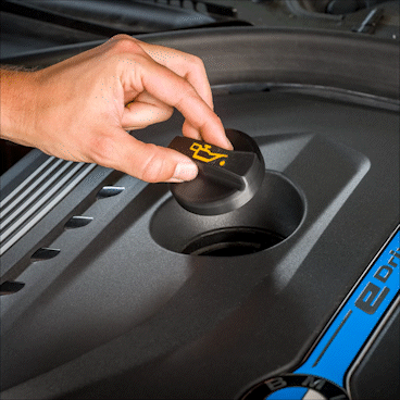 Oil_cap_AdobeExpress_1