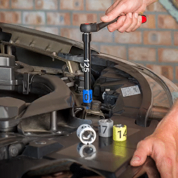 slug-nut-hood_AdobeExpress